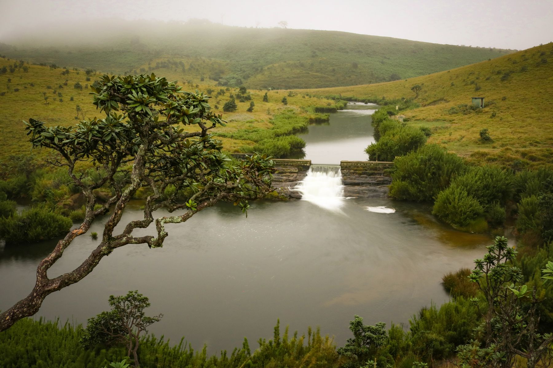 Horton Plains National Park