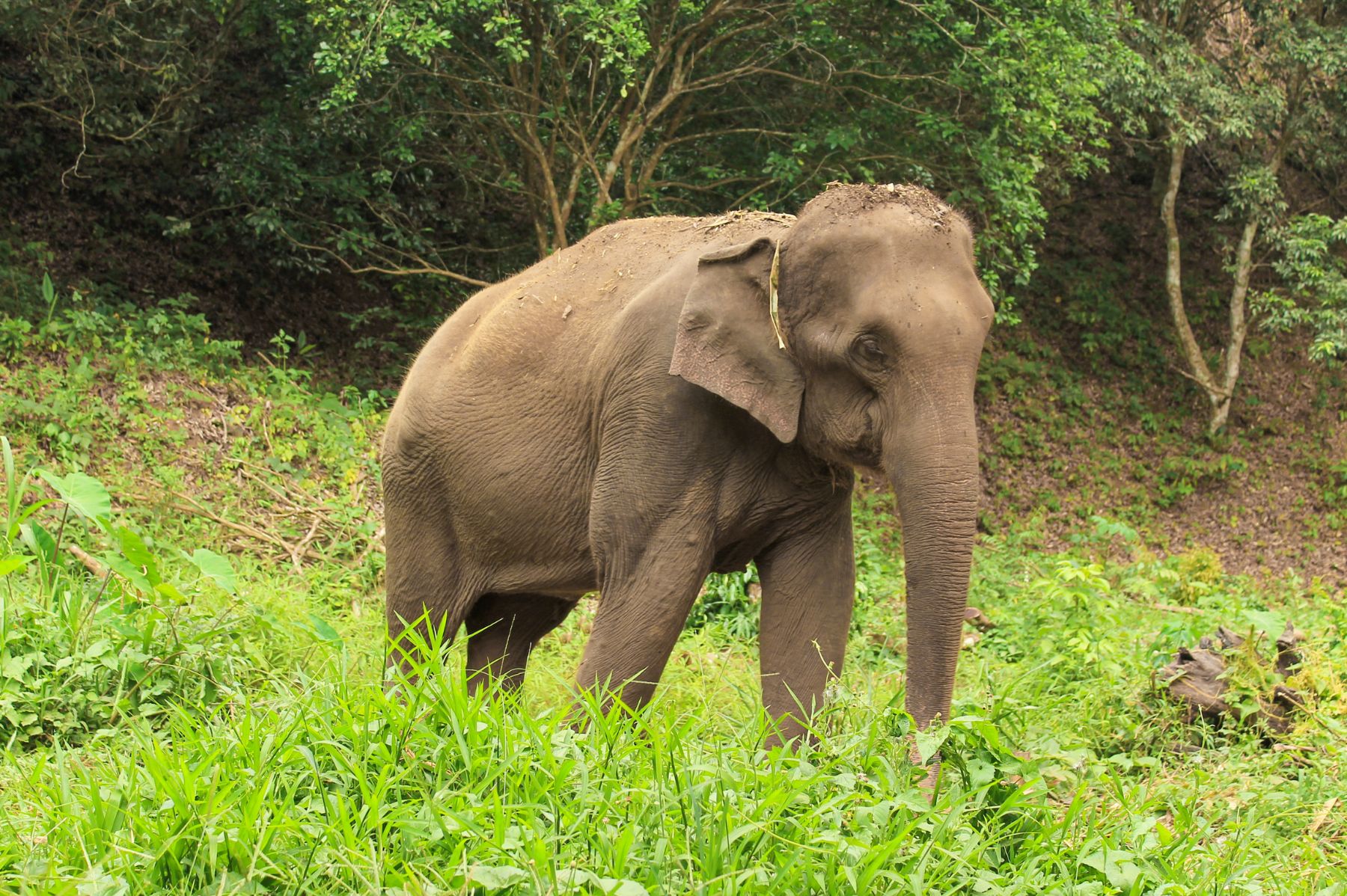 Wasgamuwa National Park
